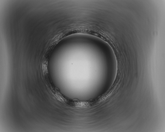 X0000116660432200912141324