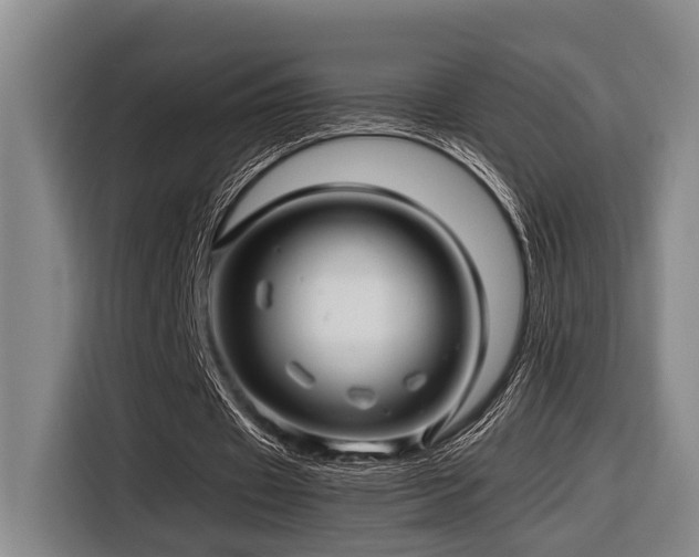 X0000116660433200912141323