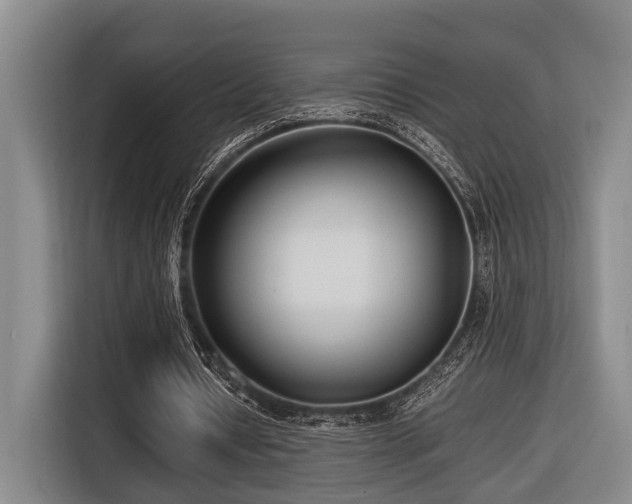 X0000116660434200912141323