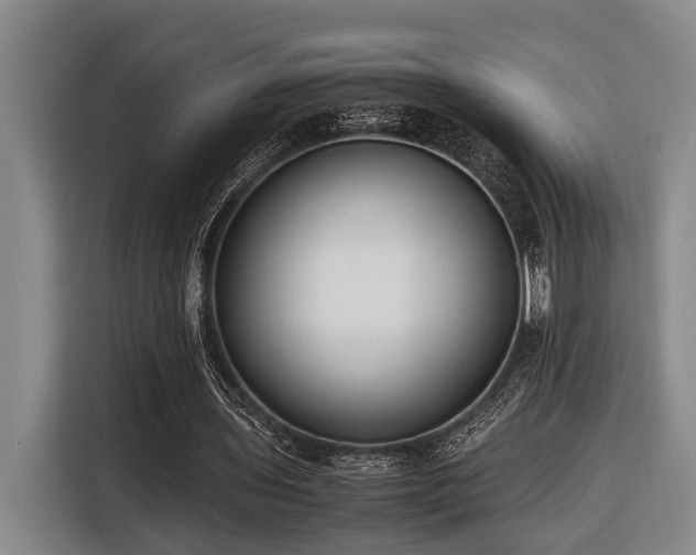 X0000116660435200912141323