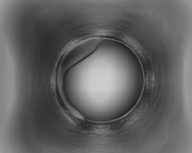 X0000116660436200912141323