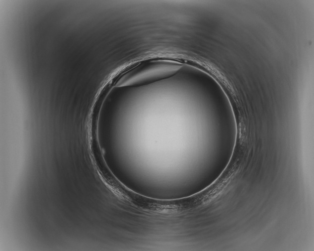 X0000116660438200912141324