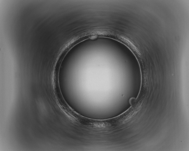 X0000116660439200912141324