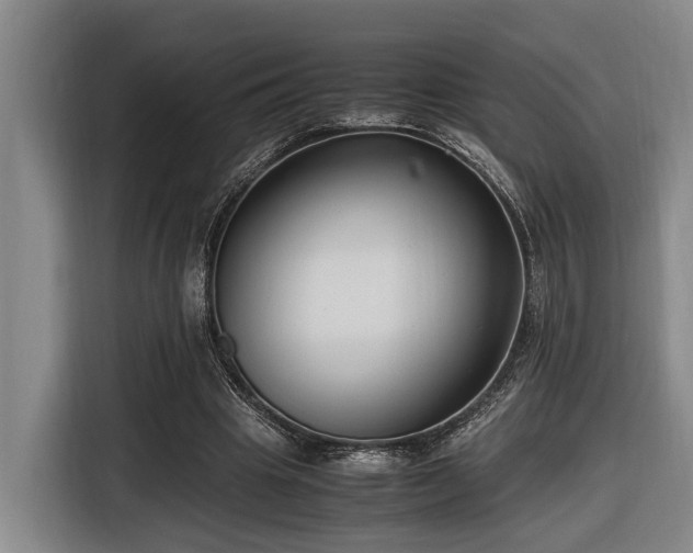 X0000116660441200912141324