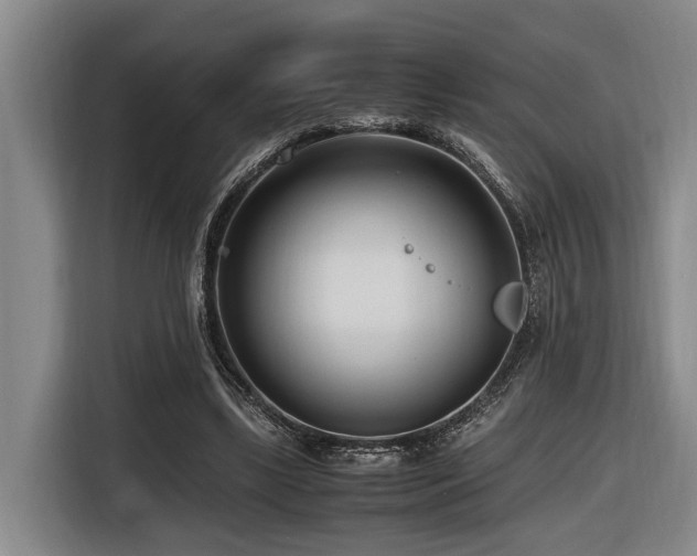 X0000116660443200912141324