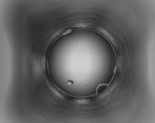 X0000116660445200912141324