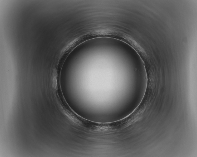 X0000116660446200912141324