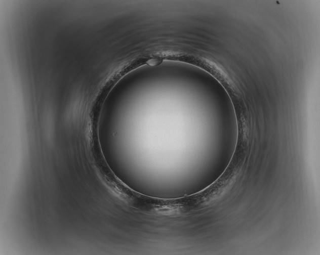 X0000116660447200912141324