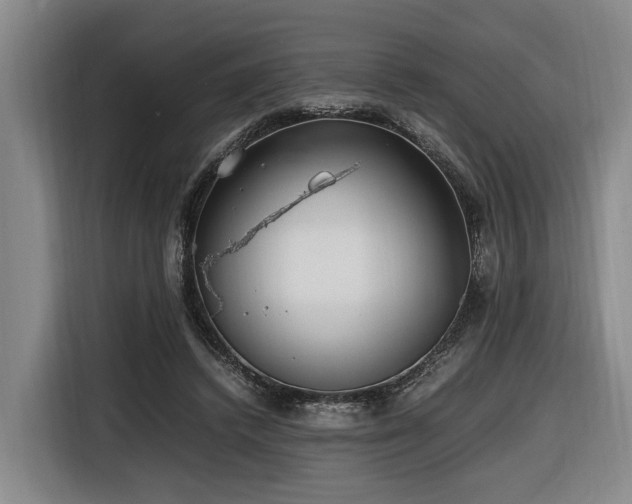 X0000116660448200912141324