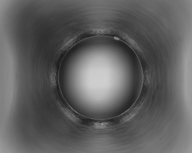 X0000116660450200912141324