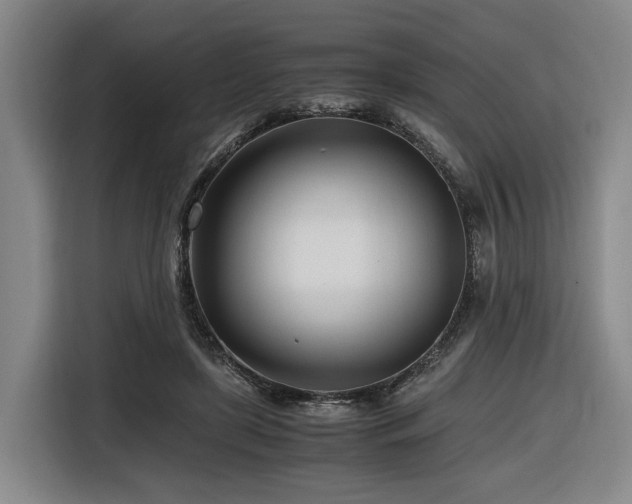 X0000116660451200912141324