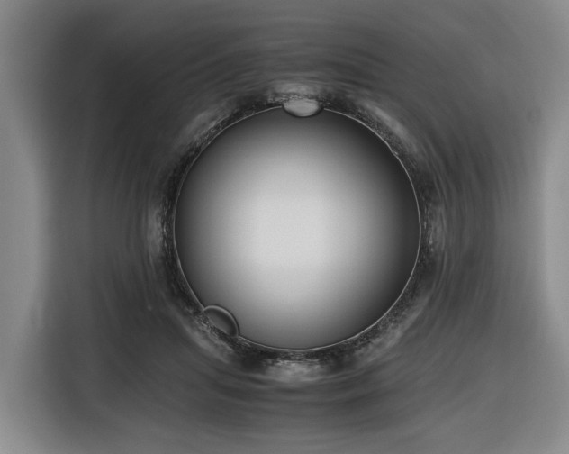 X0000116660455200912141324