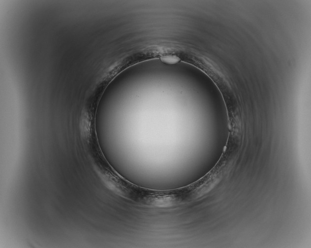 X0000116660456200912141324