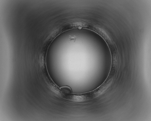 X0000116660457200912141324