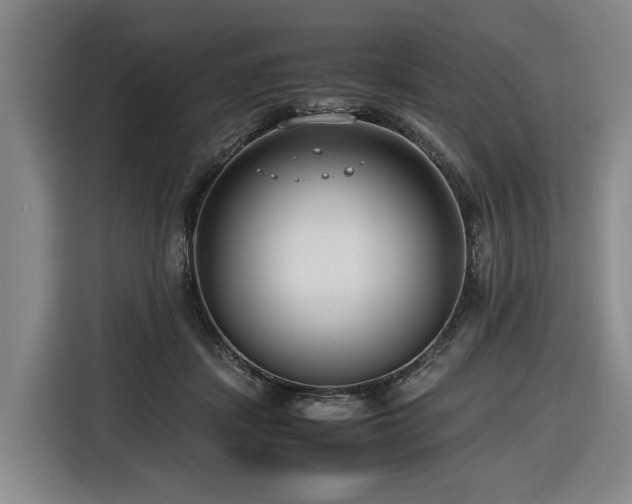 X0000116660459200912141324