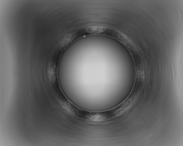 X0000116660460200912141324