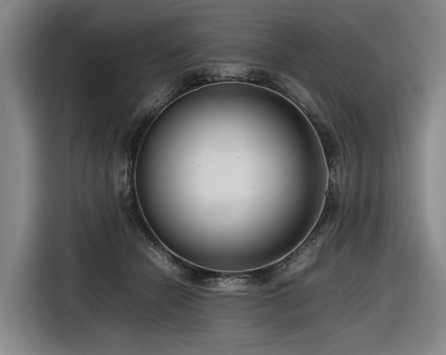 X0000116660462200912141324