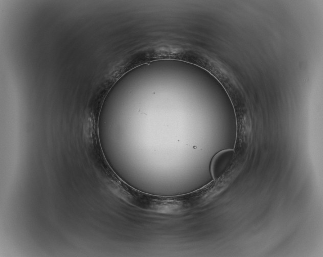 X0000116660463200912141324