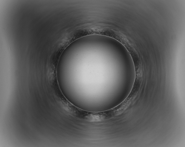 X0000116660464200912141324