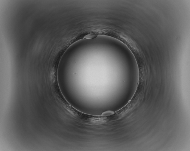 X0000116660465200912141324