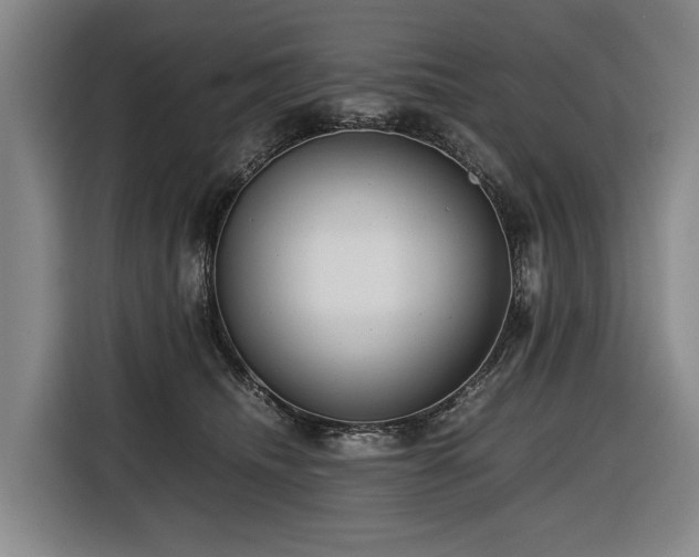 X0000116660468200912141324