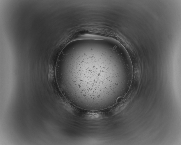 X0000116660469200912141324