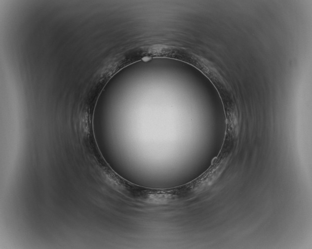 X0000116660470200912141324