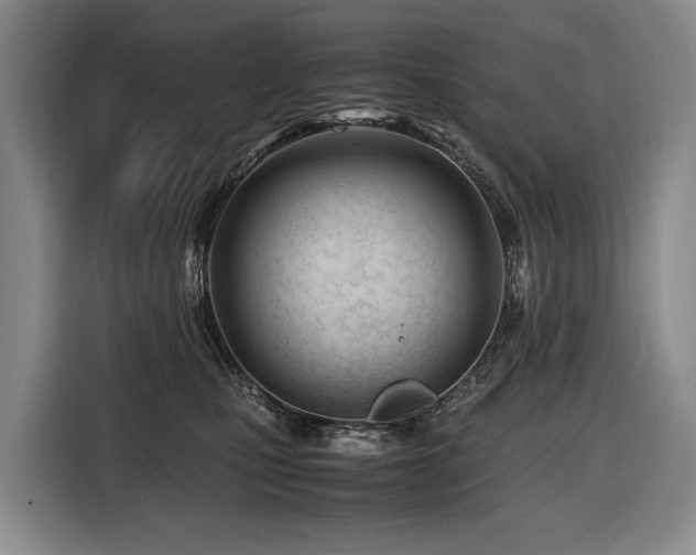 X0000116660471200912141324