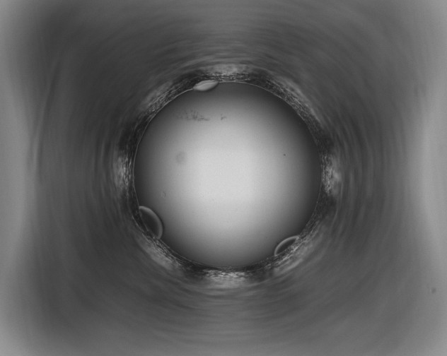 X0000116660476200912141324