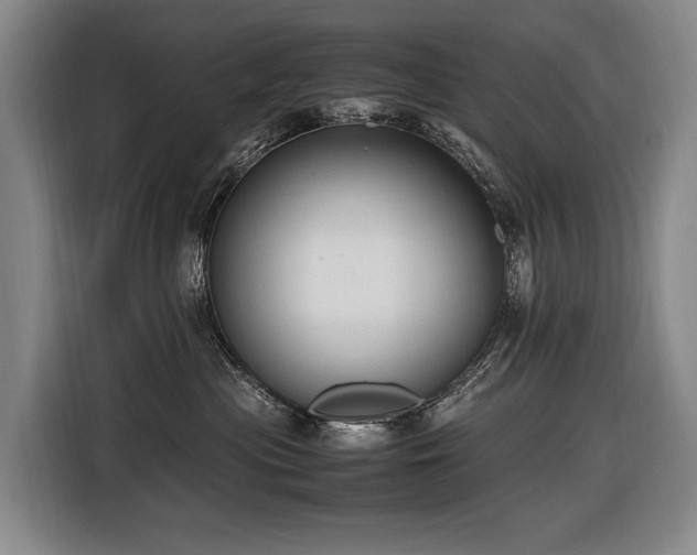 X0000116660477200912141324