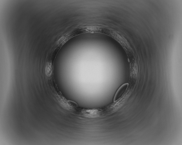 X0000116660478200912141324