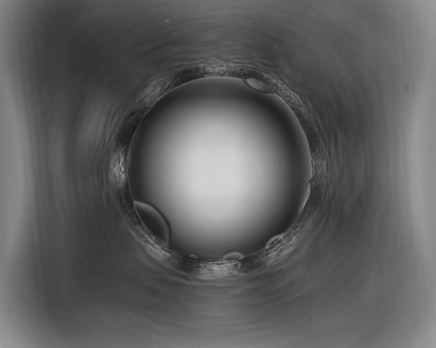 X0000116660479200912141324