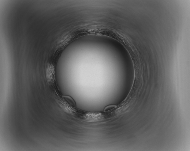 X0000116660480200912141324