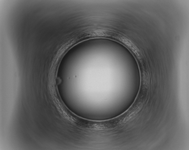 X0000116660481200912141323