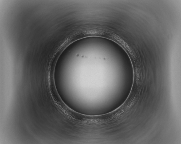 X0000116660482200912141323