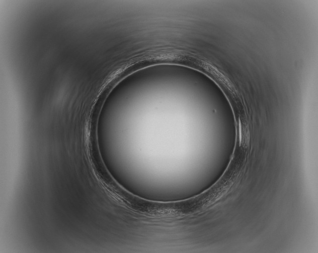 X0000116660483200912141323