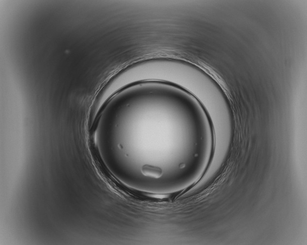 X0000116660485200912141323