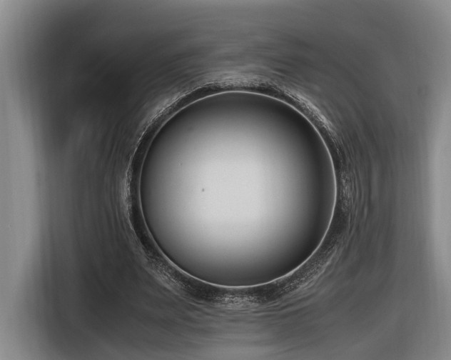 X0000116660487200912141323