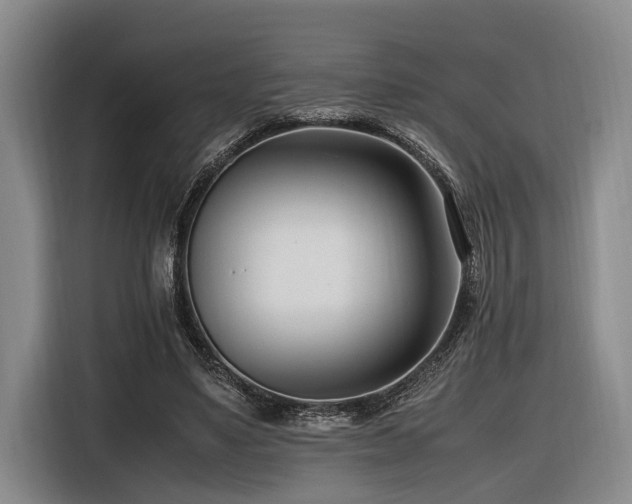 X0000116660491200912141323