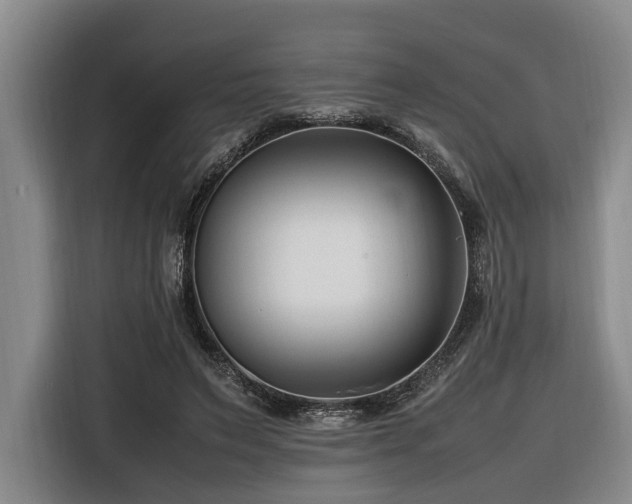 X0000116660495200912141323