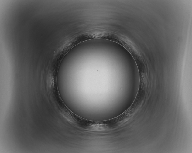 X0000116660499200912141323