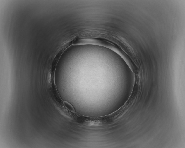 X0000116660500200912141323