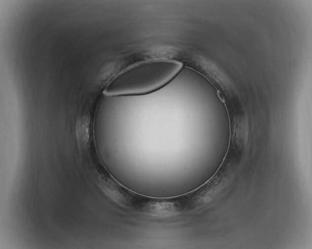 X0000116660501200912141323