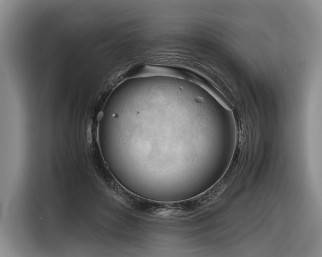 X0000116660504200912141323