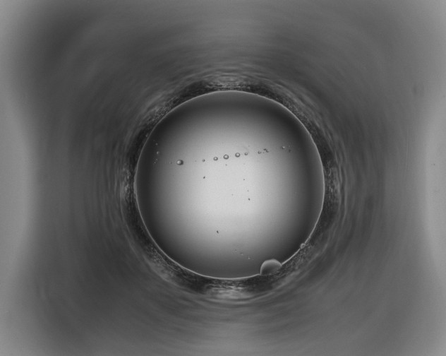 X0000116660507200912141323