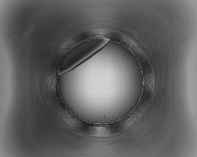 X0000116660509200912141323