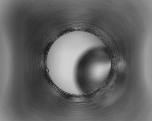 X0000116660510200912141323