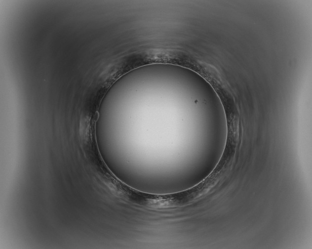 X0000116660511200912141323