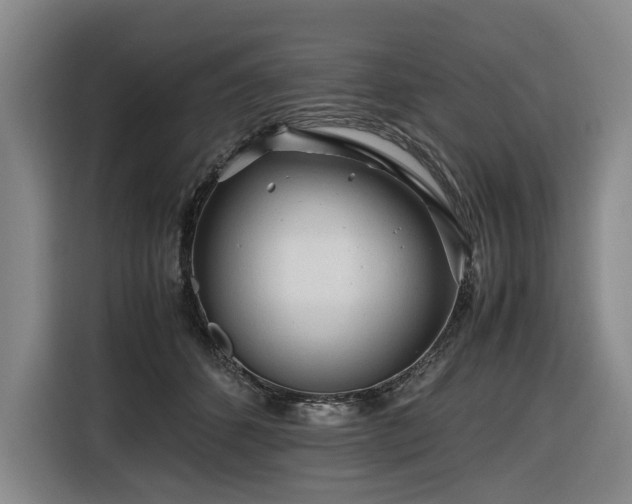 X0000116660512200912141323