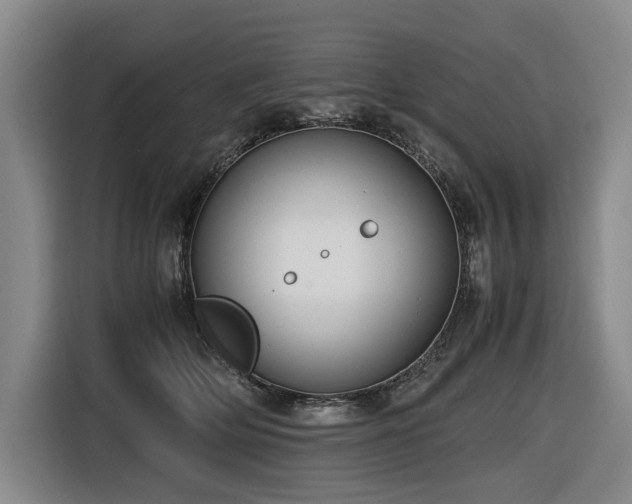 X0000116660514200912141323